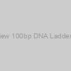 Azura PureView 100bp DNA Ladder - 100 Lanes